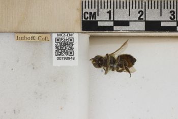 Media type: image;   Entomology 793948 Aspect: Labels